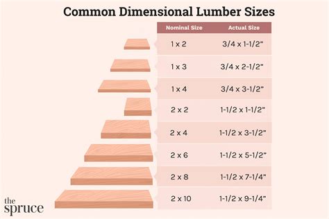 thick cock|Shown Actual Size: A Penis Shape & Size Lowdown